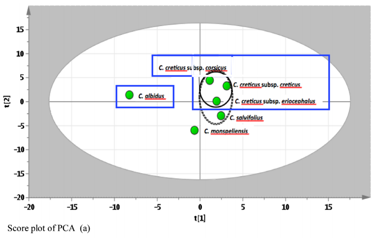 Selección_075.png