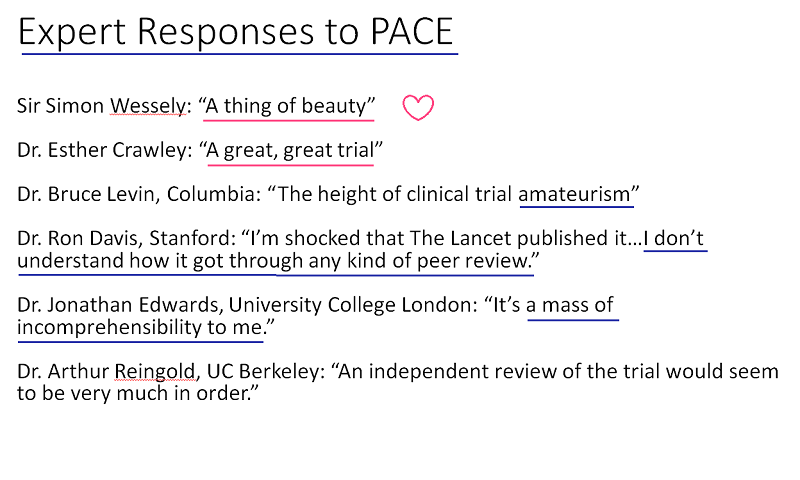 Los expertos sobre el PACE 1.png